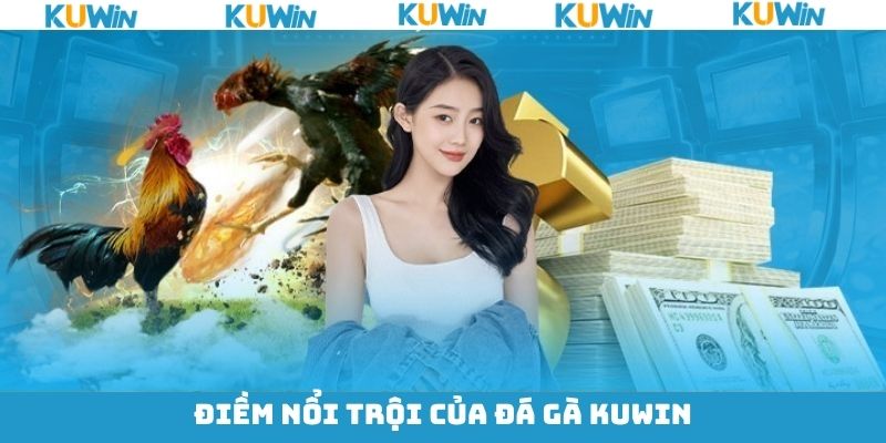 Một số ưu điểm nổi trội khi tham gia chọi gà KUwin Một số ưu điểm nổi trội khi tham gia chọi gà KUwin